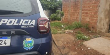 Filhote de 6 meses é morta após pitbulls invadirem casa no Nova Lima