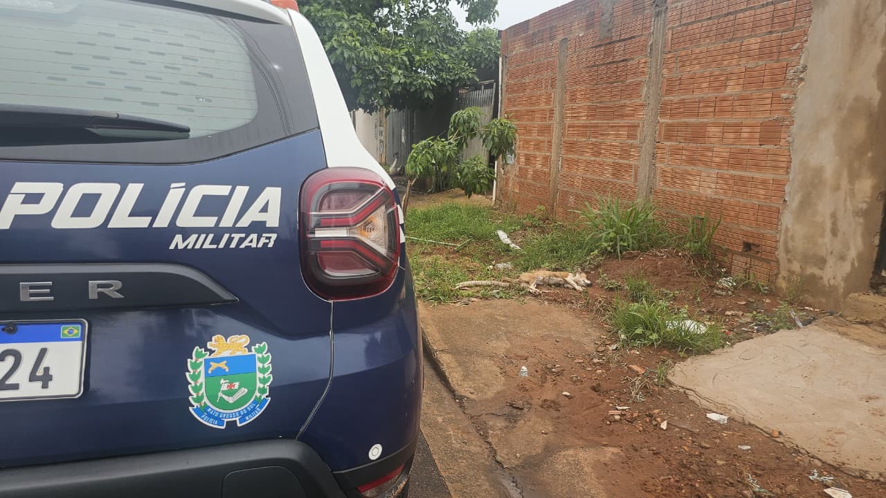 Filhote de 6 meses é morta após pitbulls invadirem casa no Nova Lima