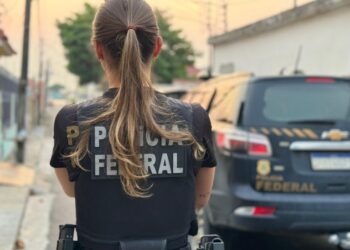 Operação Black Jack cumpre prisões e apreensões após 120 kg de maconha