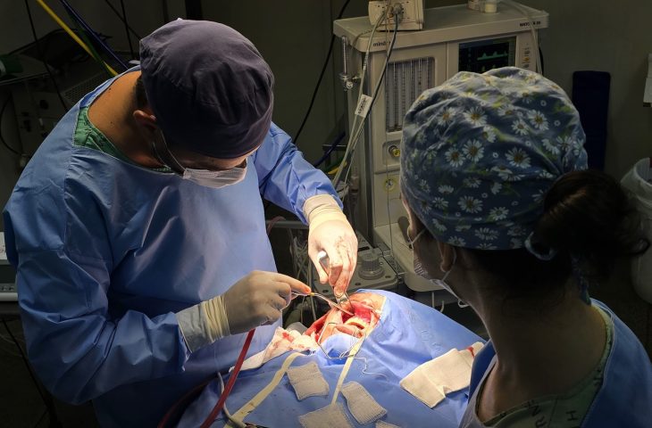 HRMS volta a realizar cirurgias bucomaxilofaciais pelo SUS