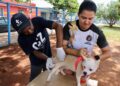 Equipes da GCZ aplicam vacina antirrábica na região do Anhanduizinho 