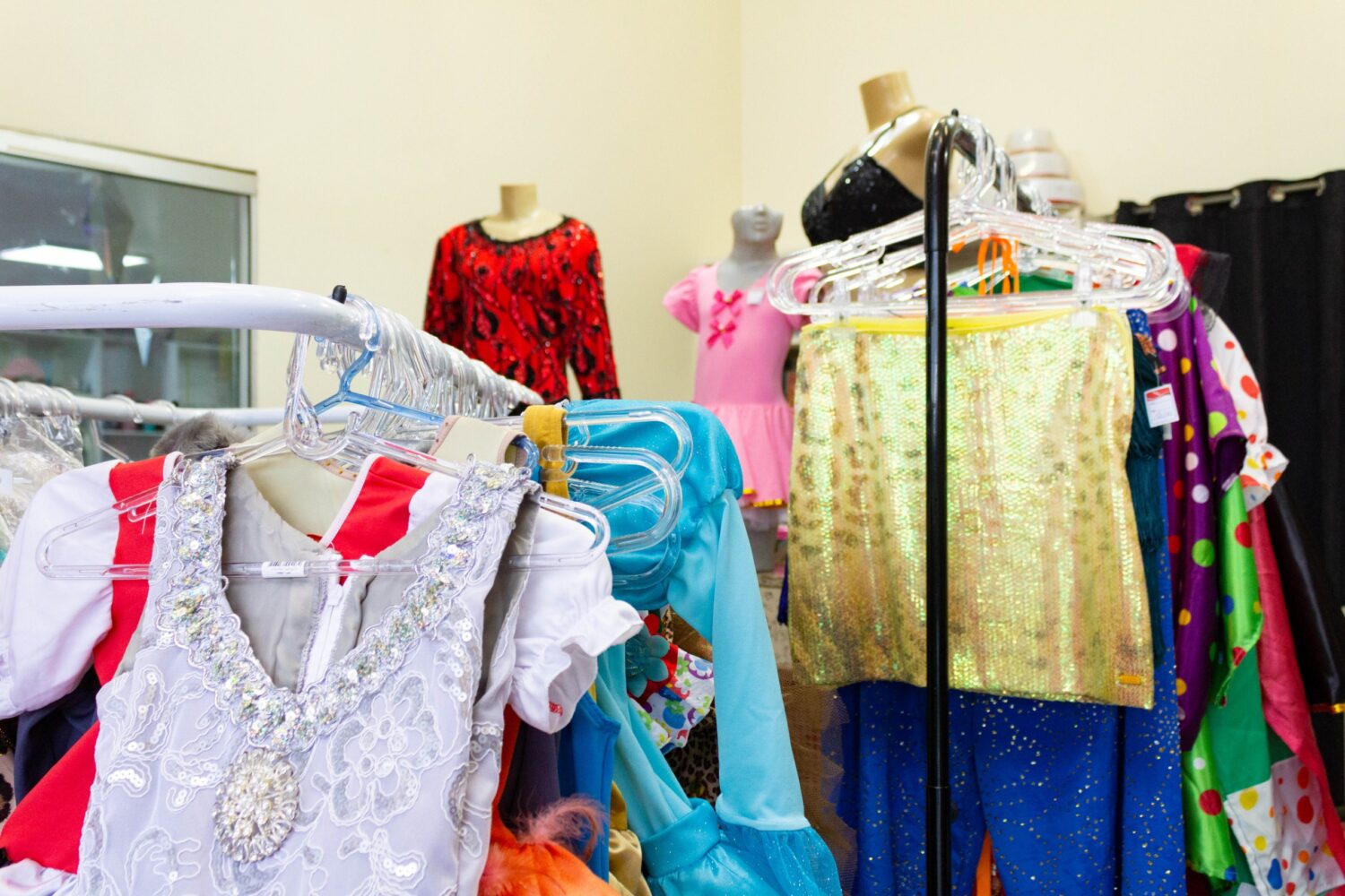 Economia na folia: bazar da AACC/MS tem peças a partir de R$ 8 e fantasias para todas as idades