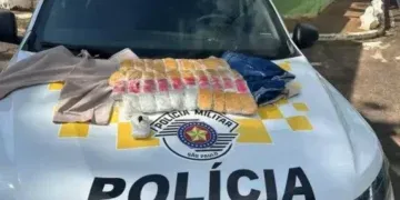 Mais de 4 kg de droga colados ao corpo: jovem é presa em ônibus