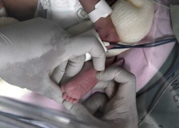 Mato Grosso do Sul amplia acesso à vacina hexa-acelular para prematuros e filhos de mães com HIV