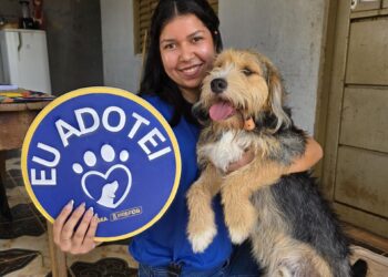 Prefeitura realiza ação de adoção com cães resgatados de maus-tratos Prefeitura realiza ação de adoção com cães resgatados de maus-tratos