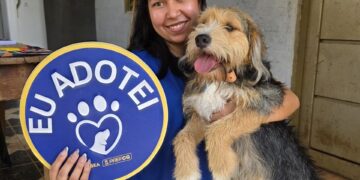 Prefeitura realiza ação de adoção com cães resgatados de maus-tratos