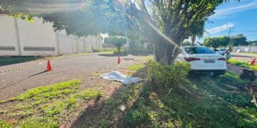 Motorista morre após bater em árvore em Campo Grande