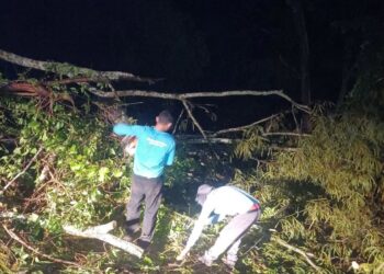 Acesso à Cachoeira do Morcego é liberado após queda de árvore
