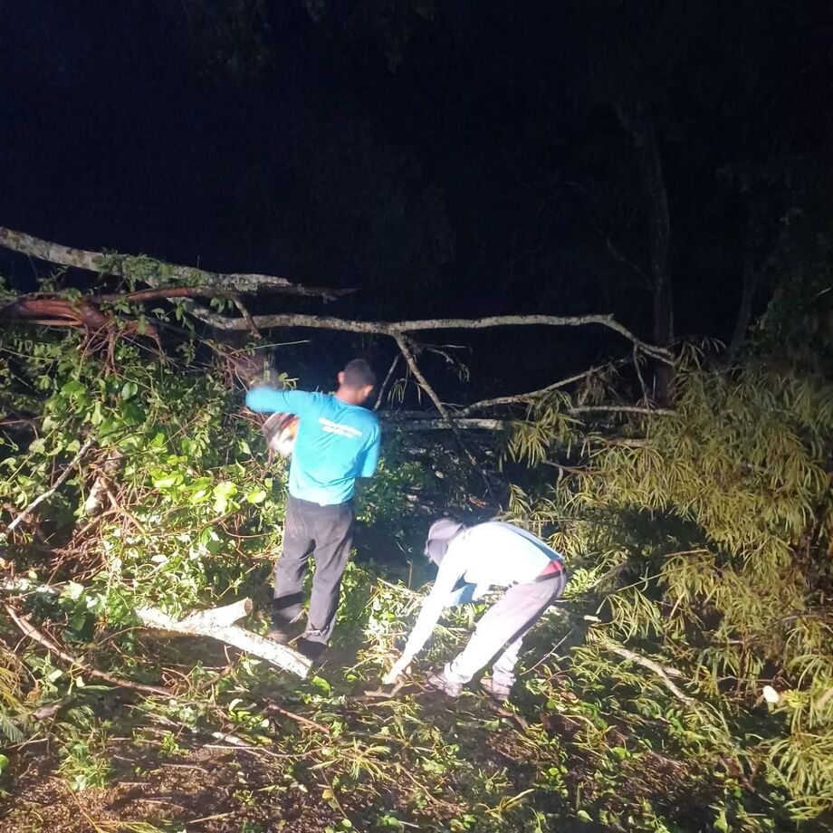 Acesso à Cachoeira do Morcego é liberado após queda de árvore