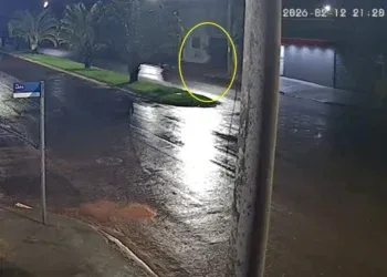 Homem é flagrado arremessando cachorro ao chão