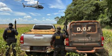 Quase 2 toneladas de maconha são apreendidas após perseguição aérea