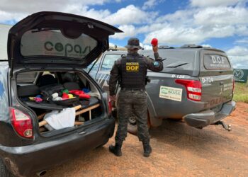 DOF apreende droga de R$ 700 mil e prende casal