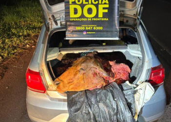 Prisões na Fronteira: Trio é detido com arma e carne furtada avaliada em R$ 45 mil
