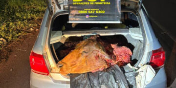 Prisões na Fronteira: Trio é detido com arma e carne furtada avaliada em R$ 45 mil