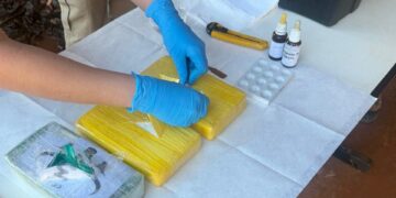 Quase 10 toneladas de drogas são incineradas em Campo Grande