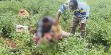 Vendedor ambulante morre após capotar carro na BR-060