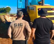 Pá carregadeira furtada avaliada em R$ 685 mil é recuperada