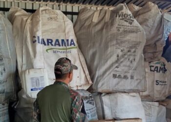 Fazenda é multada em R$ 150 mil por guardar embalagens de agrotóxicos de forma irregular