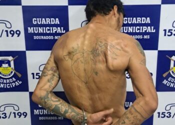 Suspeito danifica câmera de vizinho e tenta se esconder da polícia