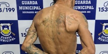 Suspeito danifica câmera de vizinho e tenta se esconder da polícia