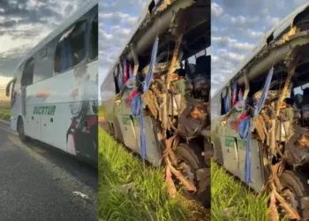 Idosa morre em acidente na BR-267 e motorista da carreta é preso Idosa morre em acidente na BR-267 e motorista da carreta é preso