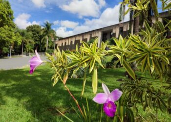 Agenda: VII Seminário Estadual das águas é o destaque da semana