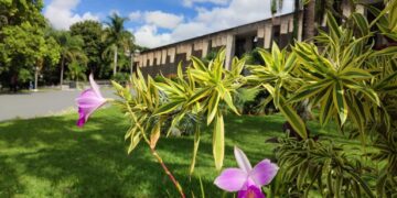 Agenda: VII Seminário Estadual das águas é o destaque da semana