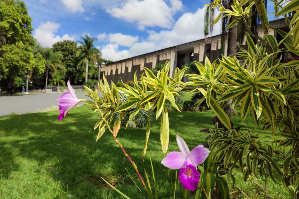 Agenda: VII Seminário Estadual das águas é o destaque da semana