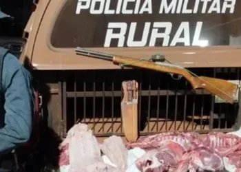 Homem é preso com carne de jacaré e javali e arma
