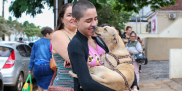 Infecção uterina em pets pode ser evitada com castração