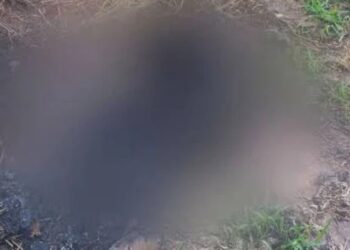 Mulher indígena é encontrada morta e carbonizada em aldeia