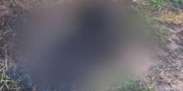 7º Feminicídio: mulher indígena é encontrada morta e carbonizada em aldeia