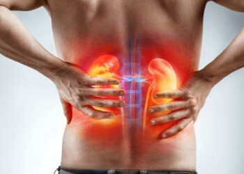 Saúde dos rins: ação gratuita oferece exames e orientação em Campo Grande Saúde dos rins: ação gratuita oferece exames e orientação em Campo Grande