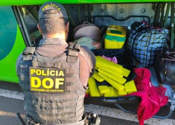 Jovem é presa em MS com 21 quilos de maconha em ônibus rumo ao Rio Grande do Sul