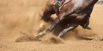 Lei: Dia Estadual dos Esportes Equestres é instituído em Mato Grosso do Sul