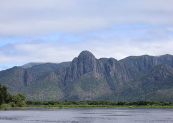 Programa destina R$ 6,1 milhões para preservação do Pantanal em Mato Grosso do Sul