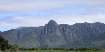 Programa destina R$ 6,1 milhões para preservação do Pantanal em Mato Grosso do Sul