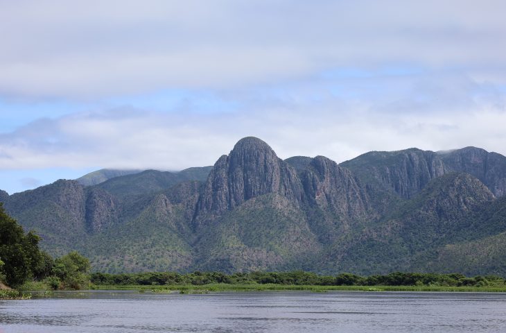 Programa destina R$ 6,1 milhões para preservação do Pantanal em Mato Grosso do Sul