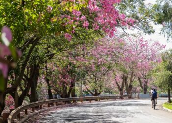 Verão se despede com calor e chance de tempestades em Campo Grande