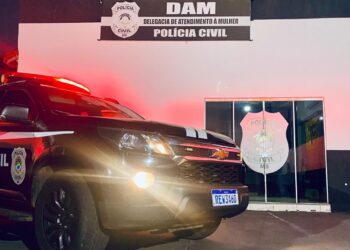 Homem é preso com arma irregular durante investigação de violência doméstica
