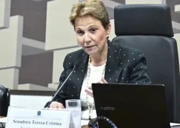 Presidente do PL sugere Tereza Cristina como vice de Flávio Bolsonaro