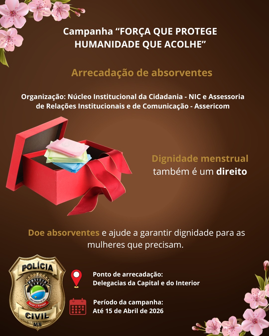 Falta de absorvente ainda atinge milhares e Polícia Civil faz arrecadação  solidária em MS; veja como doar