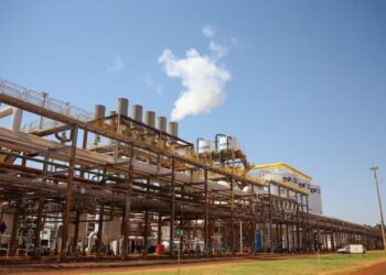 MS projeta safra recorde de etanol e açúcar e reforça protagonismo na bioenergia