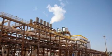 MS projeta safra recorde de etanol e açúcar e reforça protagonismo na bioenergia