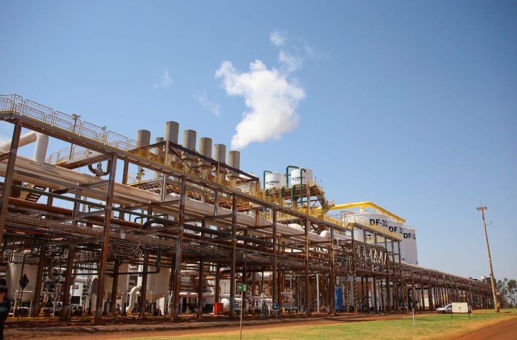 MS projeta safra recorde de etanol e açúcar e reforça protagonismo na bioenergia