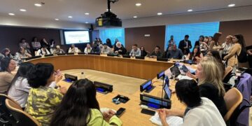 MS apresenta programa de prevenção à violência contra mulheres na ONU