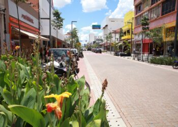 Centro em Ação busca revitalizar e fortalecer a região central 