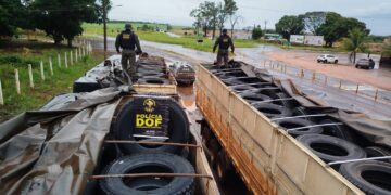 Dupla é presa durante bloqueio policial na MS-164