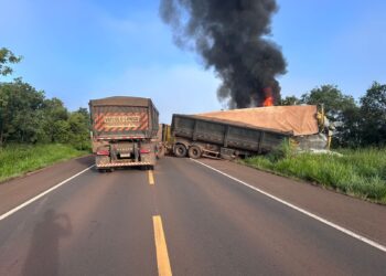 Delegado salva motorista preso em carreta em chamas na BR-262