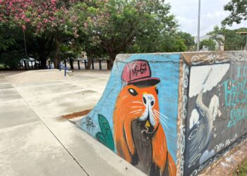Reparos na pista de skate do Horto são concluído